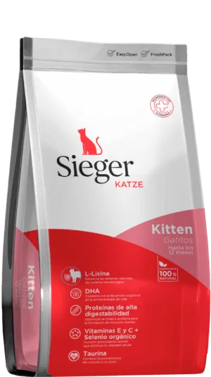Sieger Katze Gatito
