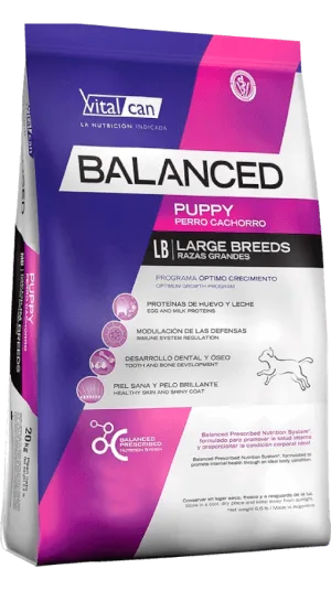 VitalCan Balanced Perro Cachorro Raza Grande
