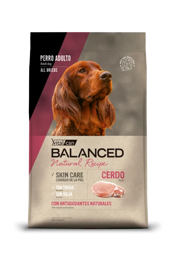 Vital Can Balanced Natural Recipe Cerdo