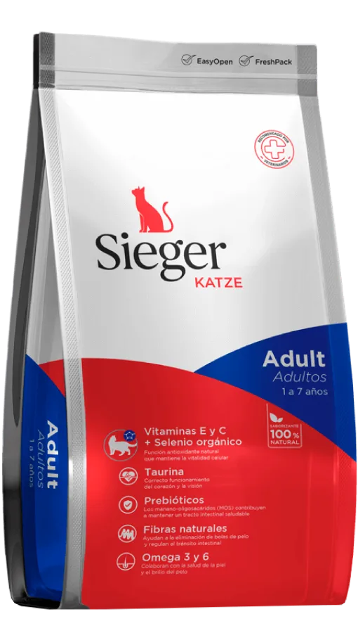 Sieger Katze Gato Adulto