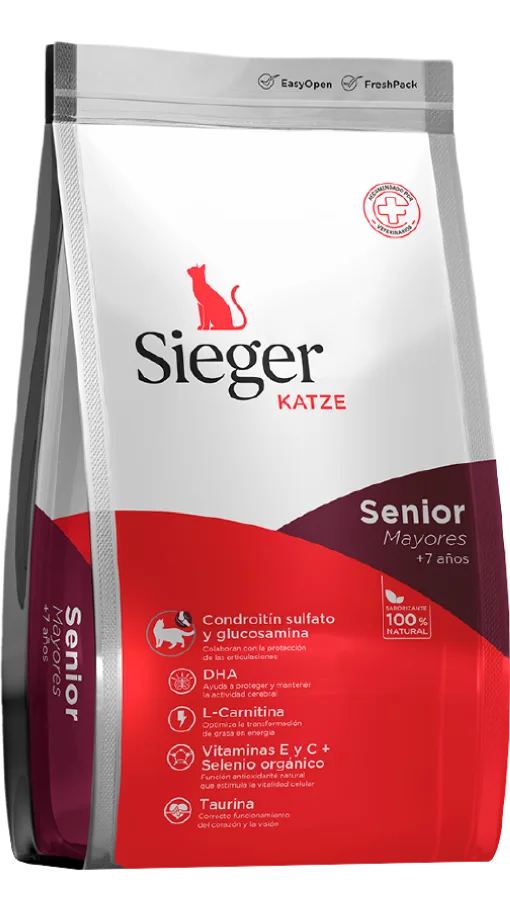 Sieger Gato Katze Senior