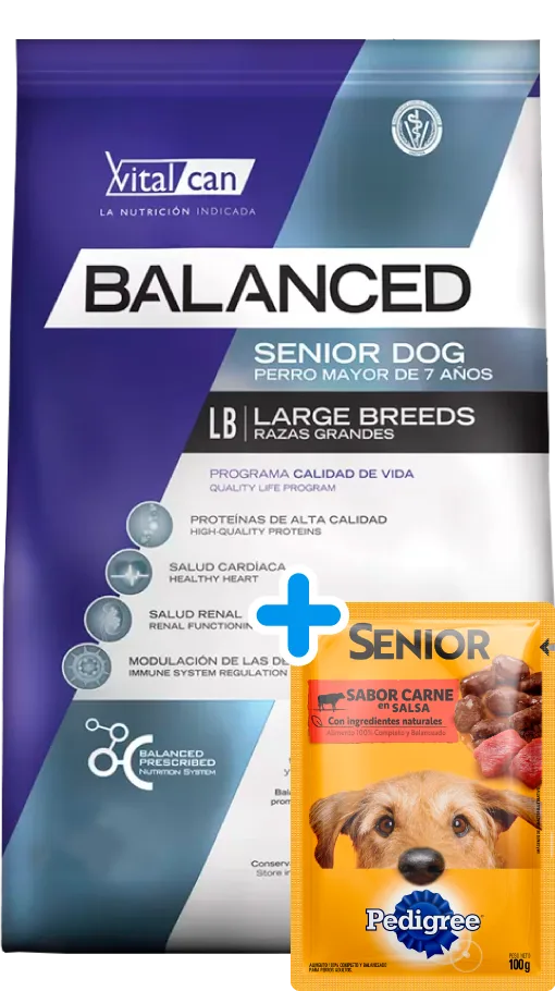 VitalCan Balanced Perro Senior Raza Grande